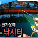 훼미리호 좌대낚시 티스토리