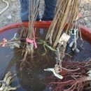 한울농원 이미지