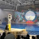 성읍리-26 이미지