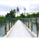 나무로스터리카페 이미지