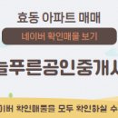 현대늘푸른 공인중개사사무소 이미지