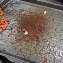수선화생고기