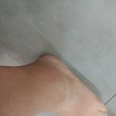 야탑터미널튼튼본의원 이미지