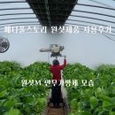 메디풀(Medipool) 이미지