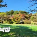 금강송 체험 야영장 이미지