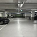 단디메디 이미지