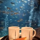 투썸플레이스 | 경북 경주시 감포읍 "투썸 플레이스" 솔직 후기