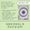 서울갑유외과의원 네이버블로그