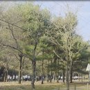 조치과 네이버블로그