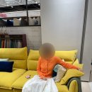 내돈내산 에싸 카시미라 소파 2년 사용 후기｜패브릭 소파 추천, 아직도 만족하는 이유