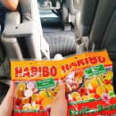 한국세륜 이미지