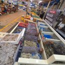 수산시장 이미지