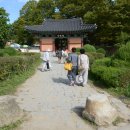 대한불교조계종용주사 Daum카페