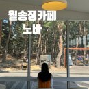 월송정 | 울진 월송정카페 노바 위치 영업시간 분위기 메뉴