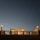 포항 애견동반글램핑 : 펫글램핑 (애견동반 숙소 추천, 포항여행, 스파)