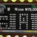 의픔장어 이미지