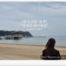 포항 해상스카이워크 | [포항 여행 코스] 영일대해수욕장과 바다를 걷는 하루, 해상 스카이 워크