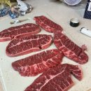 놀자씨랩 네이버블로그
