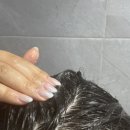 올리브가든 | 아닐로 패츌리가든 샴푸 올리브영 샴푸 사용 후기