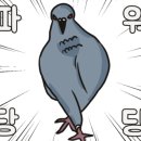 더프리미엄1:1운동센터 이미지