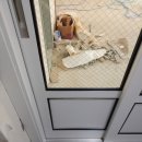 본오동한양아파트 이미지