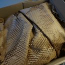 마미펫살롱 이미지