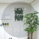 니트하우스마포