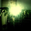 엔젤여관 이미지