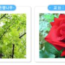 전주교육대학교군산부설초등학교 네이버블로그
