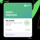 메리그루밍 | 둥근해 미친 거 또 떴네