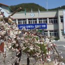 낙서면사무소 이미지