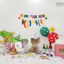 멍멍님수라상 이미지