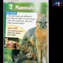 1-12: Mammals 이미지