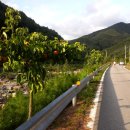 석문오토캠핑장 이미지