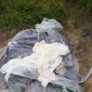 도마1리 이미지