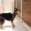 깜순이농장 이미지