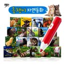 올챙이네 이미지