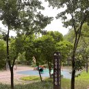 모롱지공원 이미지