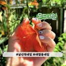 몬드네일 - 계양구 계양문화로 86 | 몬드네일