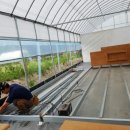 이루리농장 이미지