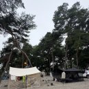 숲속의하모니 | 괴산여행 충북아쿠아리움 괴산 캠핑장 숲속의하모니