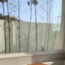 위클라드 자쿠지 펜션 이미지