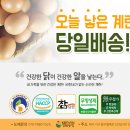 현풍농장 이미지