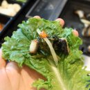 아중천민물장어한우 이미지