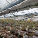 방우농장 이미지