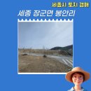 주식회사 세종가스산업 | 세종시 토지 경매 장군면 봉안리 54,852㎡ 초대형 면적 땅