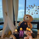 엔오엔팜 | [군산 카페] 엔오엔팜 재방문 씨앗심기 체험후기, 다 먹은 컵을 이용해 나만의 화분을 만들어보아요!