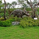 덕소자연사박물관 이미지