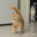 유피시리즈 이미지