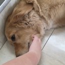 전주한옥마을너울가지 이미지